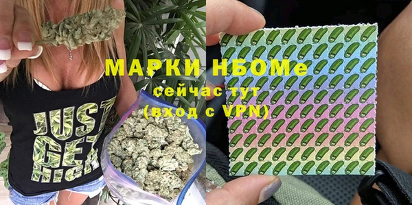 spice Аркадак
